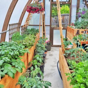 Stunning-small-urban-greenhouse-design