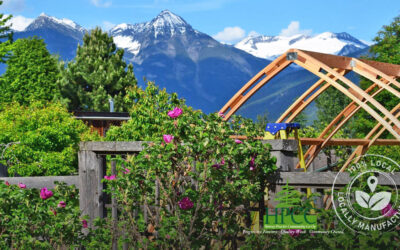 Supporting Local: Why Argenta Greenhouse is the Sustainable Choice