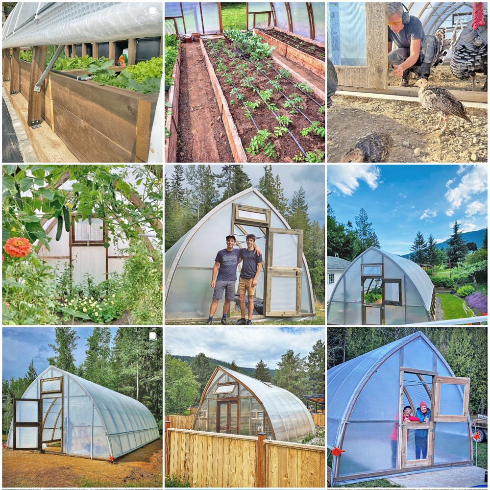 Argenta-Greenhouse-Instagram-Feed-Images