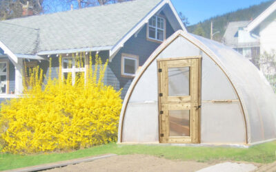 Building a Greenhouse: 5 Crucial Factors for Success