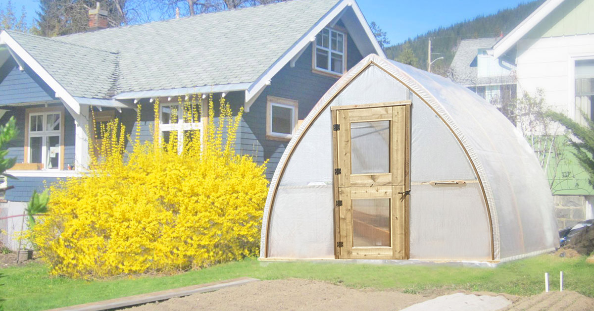 Beautiful custom greenhouse with a bright yellow flowering bush in the background.