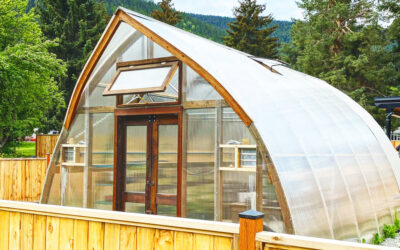 Why You Should Consider Greenhouse Gardening in Southern British Columbia and Alberta