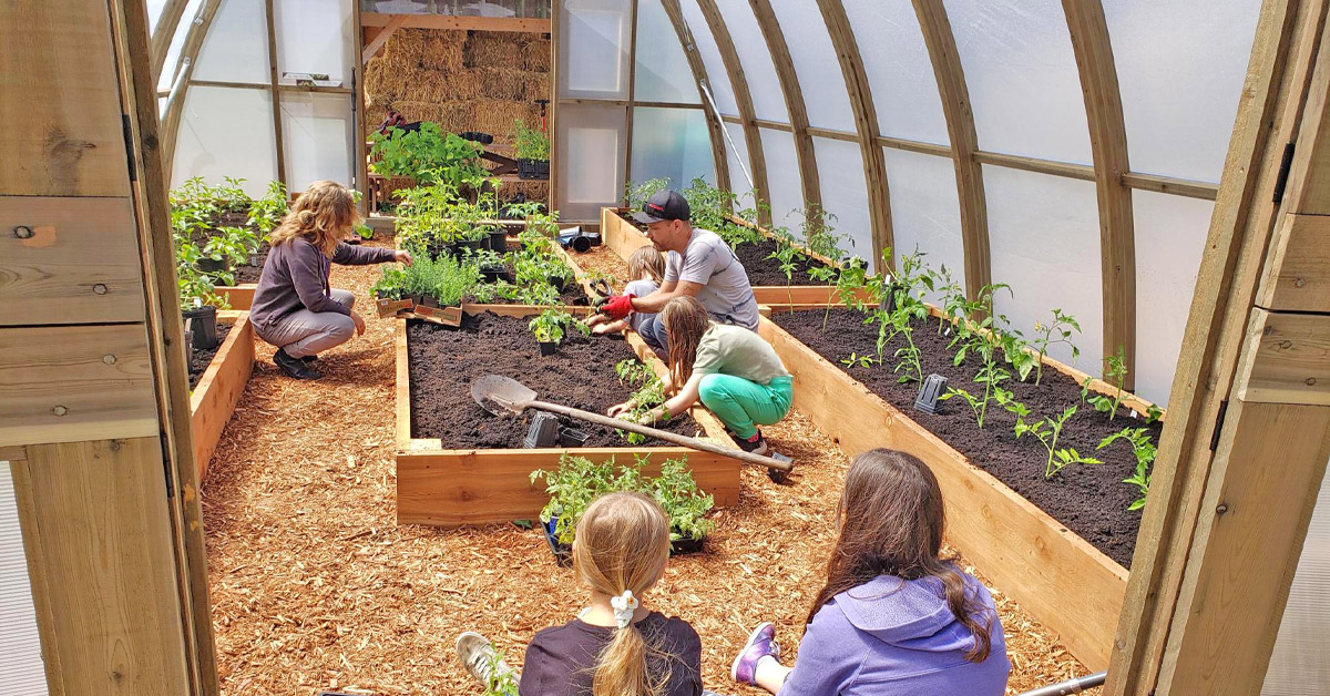 Kids and adults working in the Slocan BC Community Greenhouse Built By Argenta Greenhouse Company