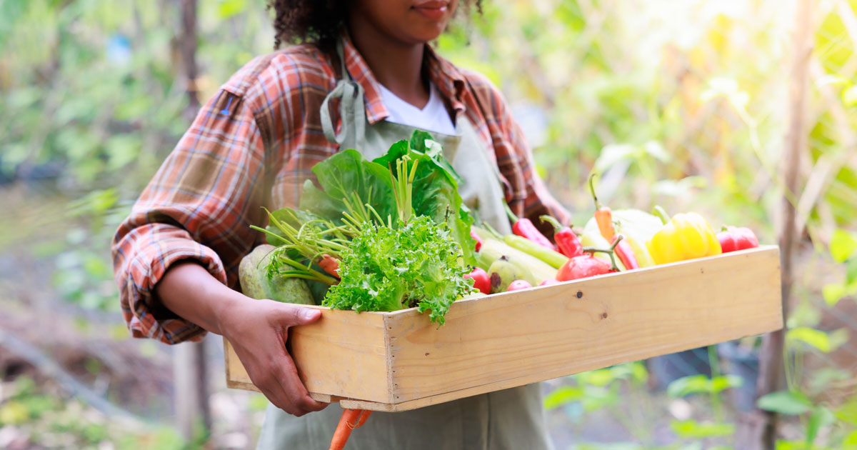 A person holding a wooden box of fresh food grown in a sustainably built Argenta Greenhouse